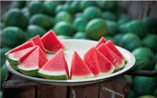 从学习到吃瓜,生活百态的趣味缩影